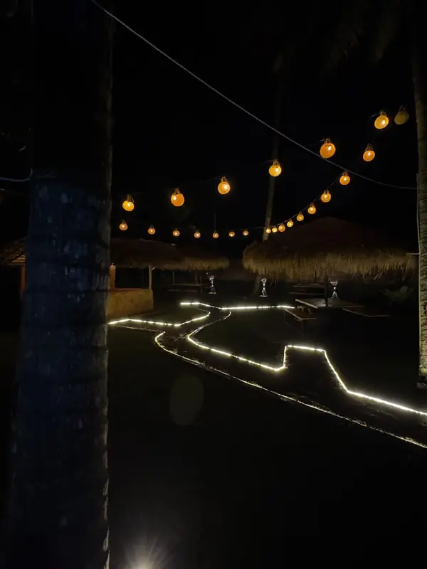 A lit path curving across the lawn past a coconut palm