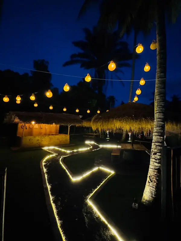 The garden at dusk, deep blue sky behind the palms and lit paths below